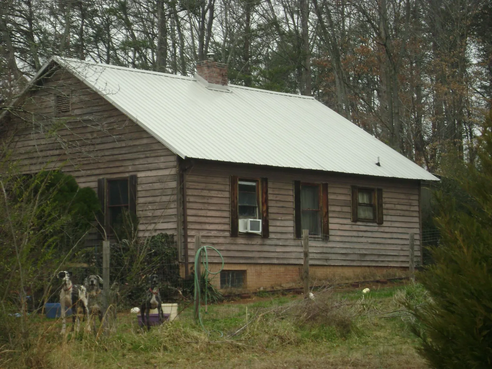 White metal roof on an old wood sided farmhouse, from a Asphalt Shingle Roof Repair job in Devers